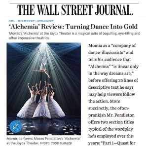 Wall Street Journal Momix Review